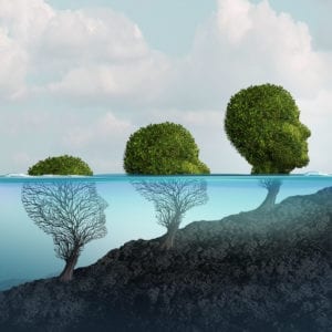 31-Day Crucible® Brain Science in Relationships Self-Education Course